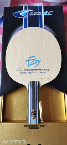 Butterfly fan zhendong - butterfly,
