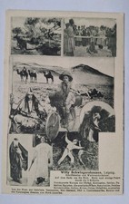 Willy Schwiegershausen