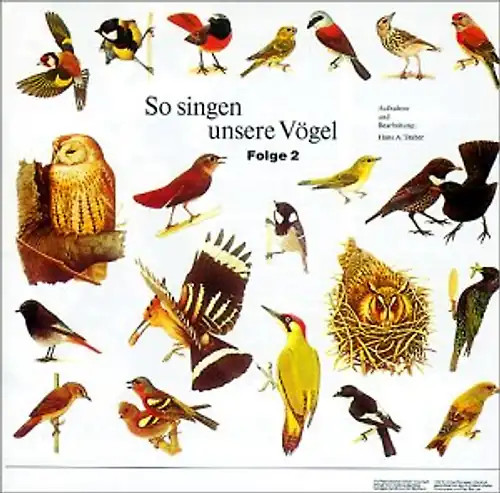Vogelstimmen so singen - -,