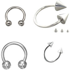 Circular Barbell Hufeisen