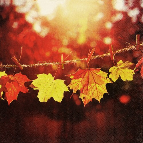 Servietten herbst sunny - herbst,
