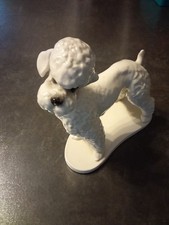 Pudel Porzellanfigur-Volkstedt Manufaktur Thüringen-siehe Beschreibung