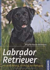 Labrador Retriever: Auswahl