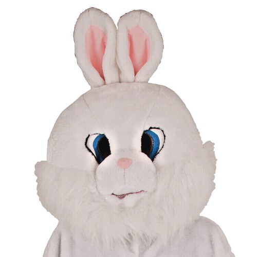 Ostern osterhase hase - ostern,