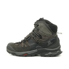 Salomon Herren Quest 4D GTX
