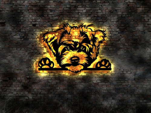 Led wandbild malteser hund - 3d,