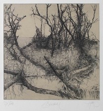 Walter Herzog Tree Swirl Shore