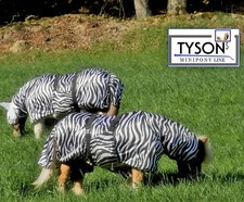 Eksemer Fliegendecke Zebra Minishetty Mini Shetty 60 65 70 80 90 100 Falabella