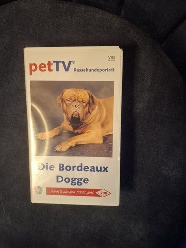 Vhs pet rassenhundeporträt - vhs,