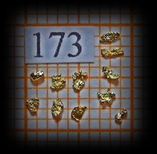 11 Goldnuggets aus Alaska (173)