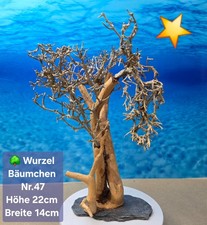 🌳Aquarium Wurzel Bonsai