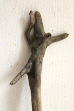 Schwemmholz Treibholz