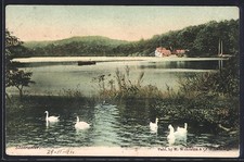 Ansichtskarte Shearwater, Panorama 1904 