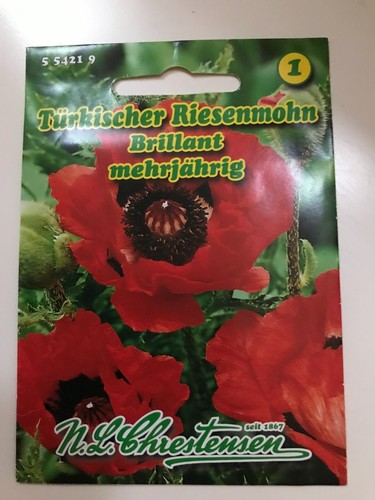 Türkischer riesenmohn - türkischer,