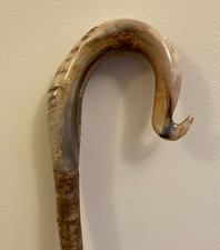 RAMS Horn Krummgriff Gehstock