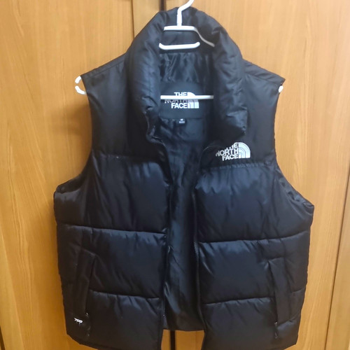 The north face 700 fill - north,