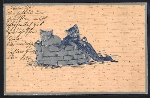 Zwei junge katzen spankorb - zwei,