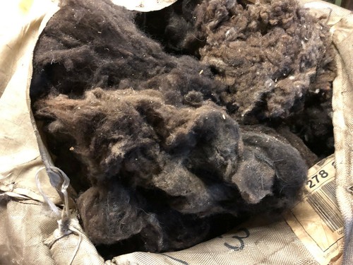 Wolle schafwolle braun - kg, schafwolle,