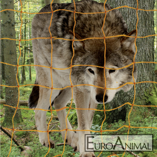 Wolfabwehrnetz wolfsnetz - wolfabwehrnetz,
