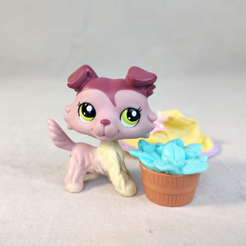 Littlest pet shop 1723 - , collie