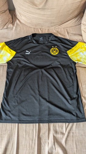 Bvb borussia dortmund - borussia, iconic