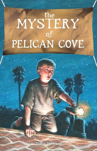 The mystery pelican - pelican, cove