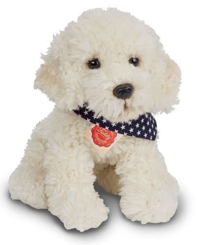 Labradoodle von teddy - labradoodle,