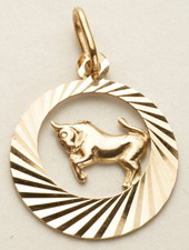 Anhänger Sternzeichen Stier