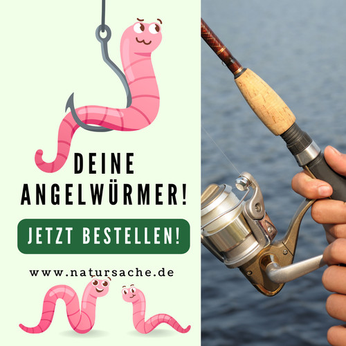 Angelköder tau köder futter - tau,