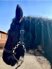 Kaltblut Halfter Control