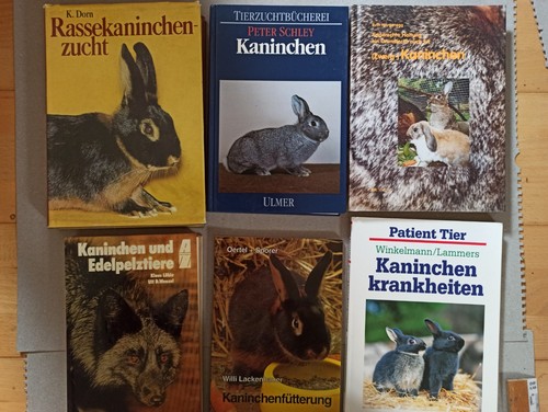 Rassekaninchenzucht ddr buch - rassekaninchenzucht,