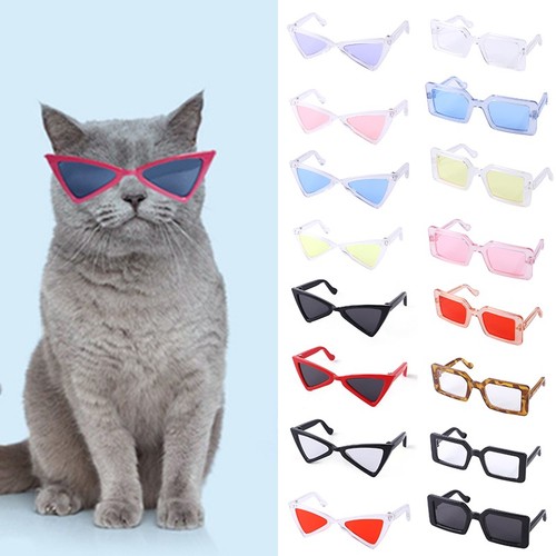 Stylische haustierbrille - stylische,