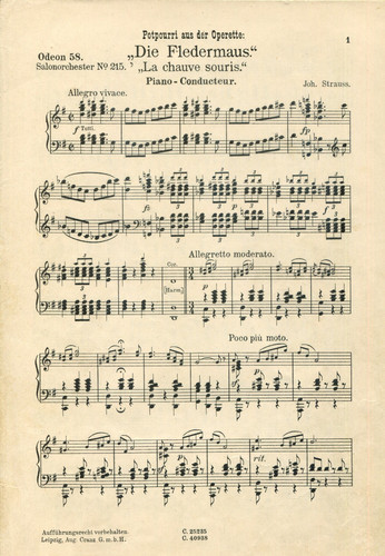 Die fledermaus potpourri - fledermaus,,
