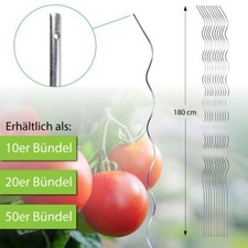 Tomatenspiralstab 180cm