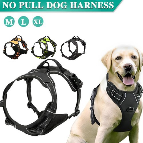 Hundegeschirr