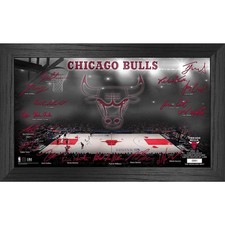 NBA Chicago Bulls Signature Court Coin Bild