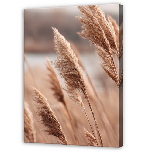 Leinwand gras beige natur - leinwand,