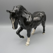 Beswick BCC 2005 Trab Jogging