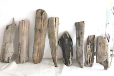 Schwemmholz Treibholz 8