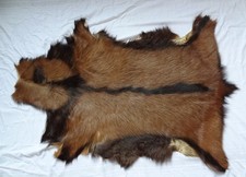 Echtes Fell Ziegenfell Echtfell Natur Braun kurzhaar Teppich Auflage Naturfell