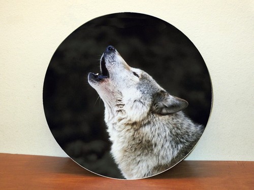 Wolf sondermaß 85x30cm - wolf,