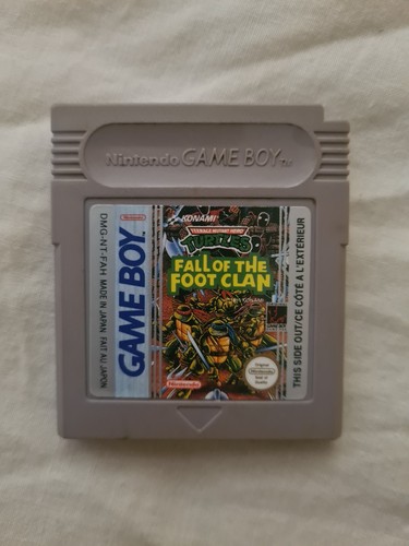 Teenage mutant hero turtles - teenage,