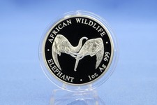 Zambia - African Wildlife