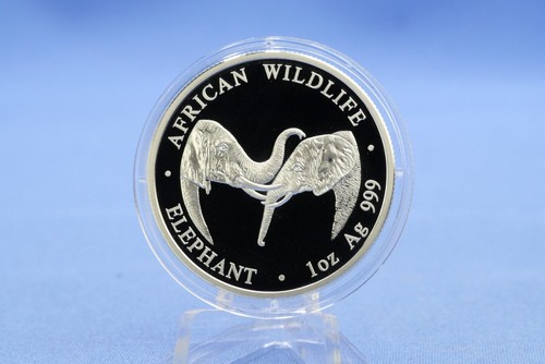 Zambia african wildlife - zambia,