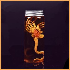 Alien jar xenomorph specimen - alien,