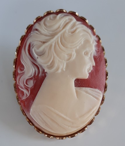 Antike brosche damenportrait - brosche,
