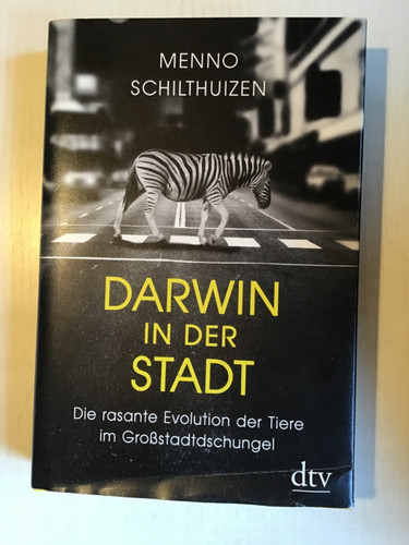Darwin der stadt von menno - darwin,
