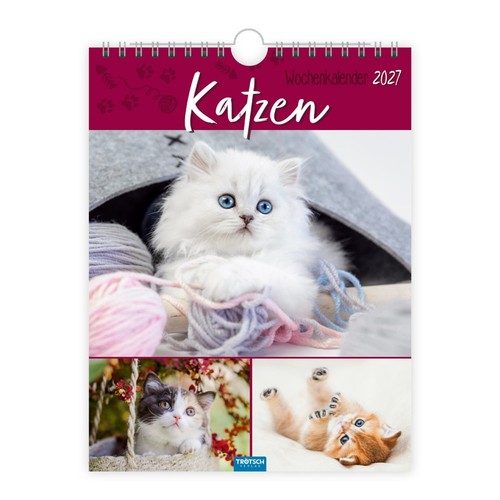 Trötsch wochenkalender katzen - wochenkalender,