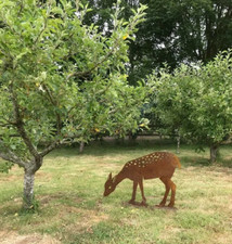 ROSTIGES METALL Garten