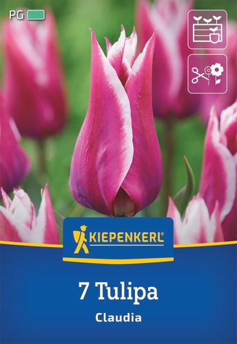 Kiepenkerl lilienblütige - kiepenkerl,